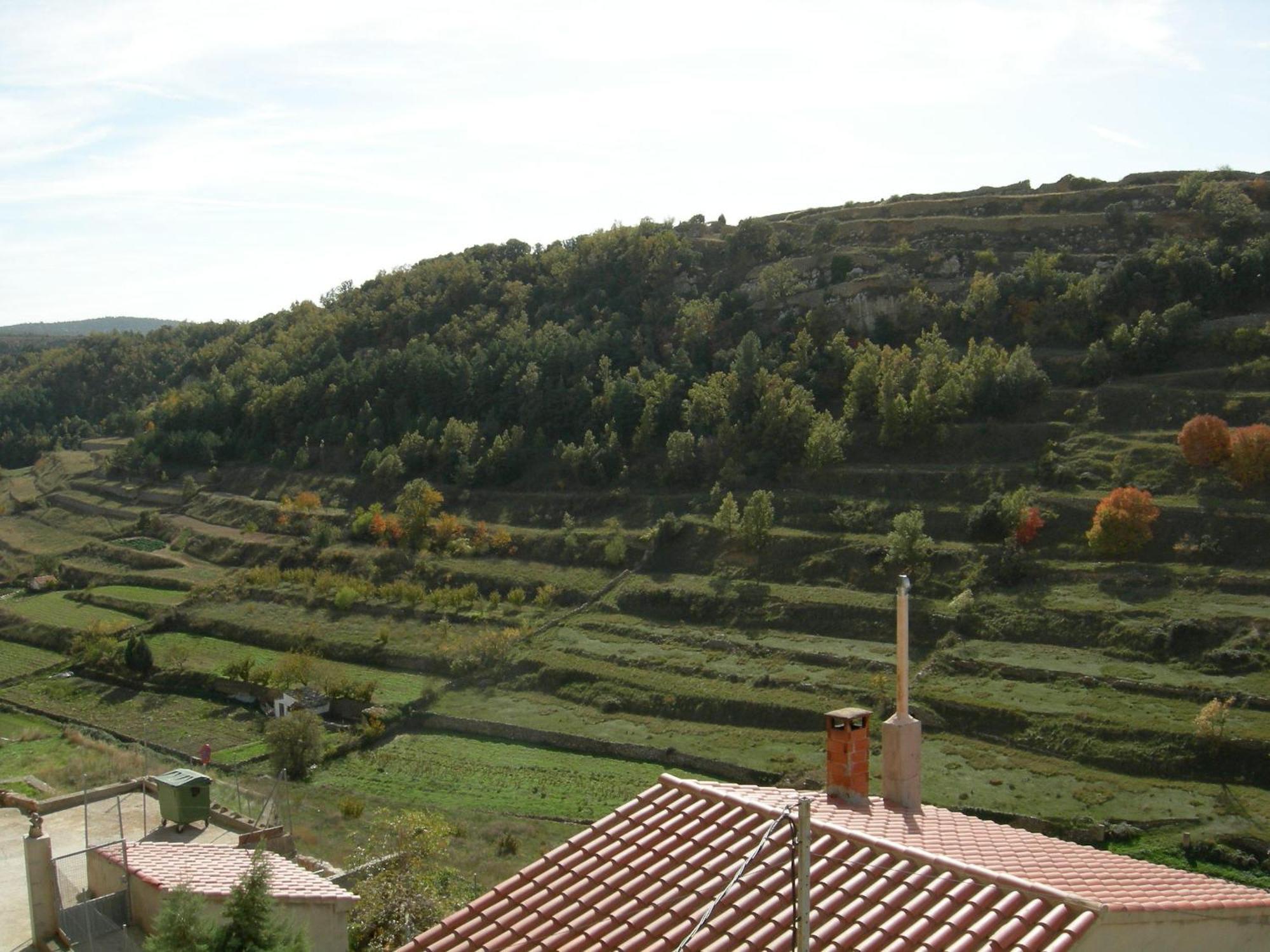 Willa Casa Cami Real Villafranca del Cid Zewnętrze zdjęcie